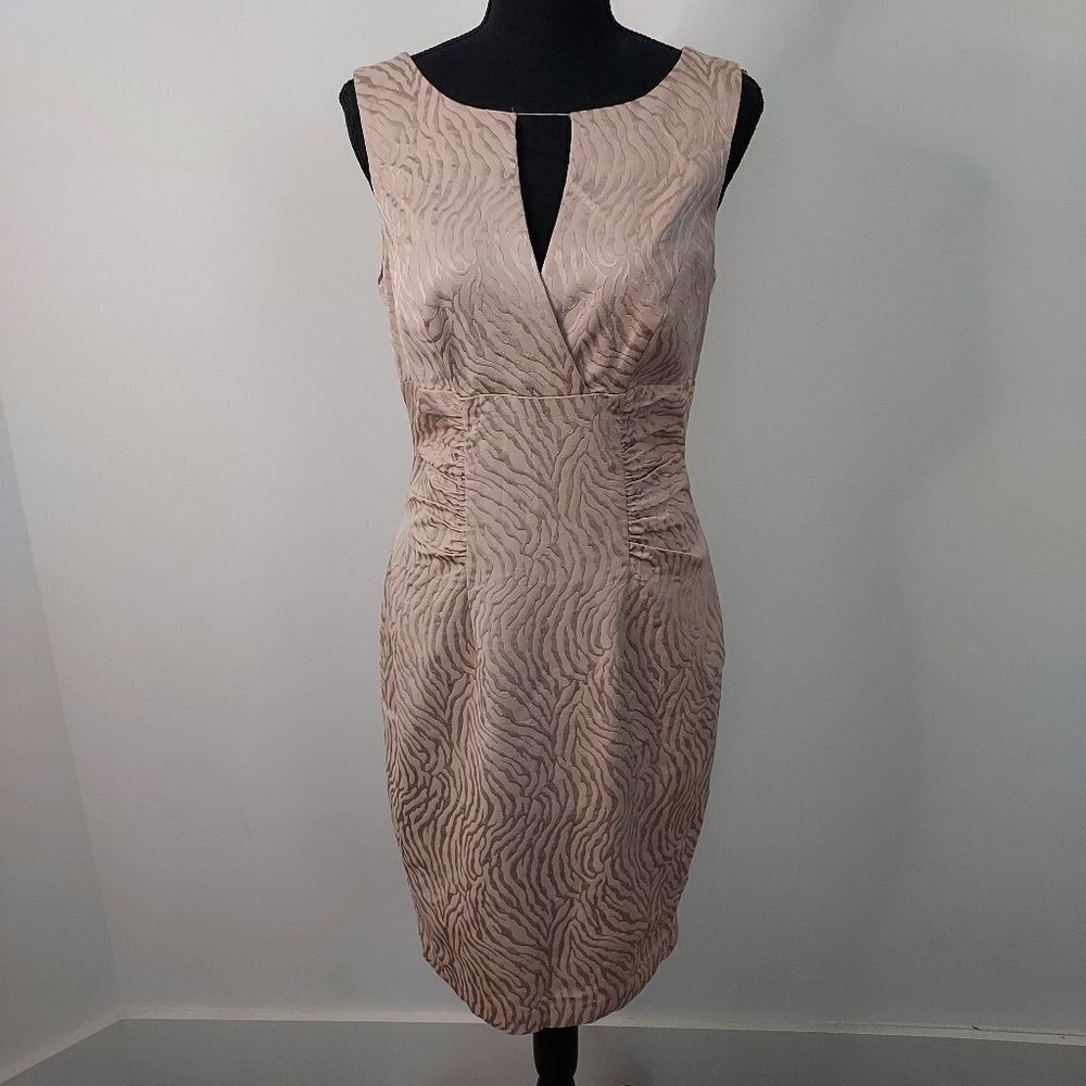 Kay Unger Sleeveless Sheath Silhouette Dress